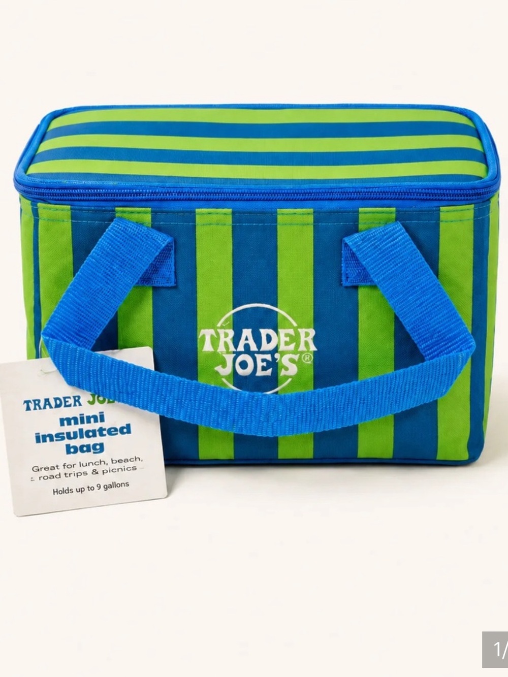 Trader Joe’s viral insulated bag green blue striped sold out rare limited